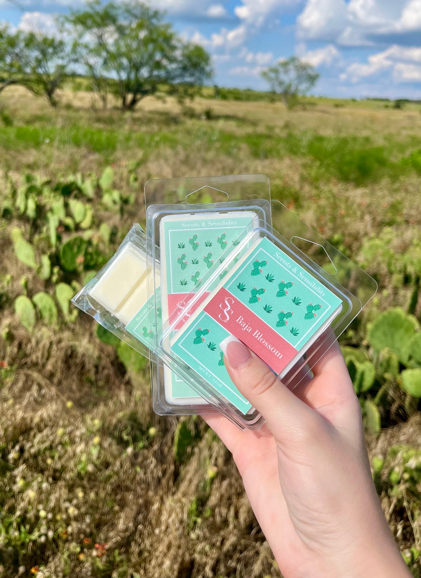 Baja Blossom, Natural Handmade Wax Melts and Snap Bar, Cactus Blossom Dupes